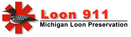 Loon 911 — Michigan Loon Preservation